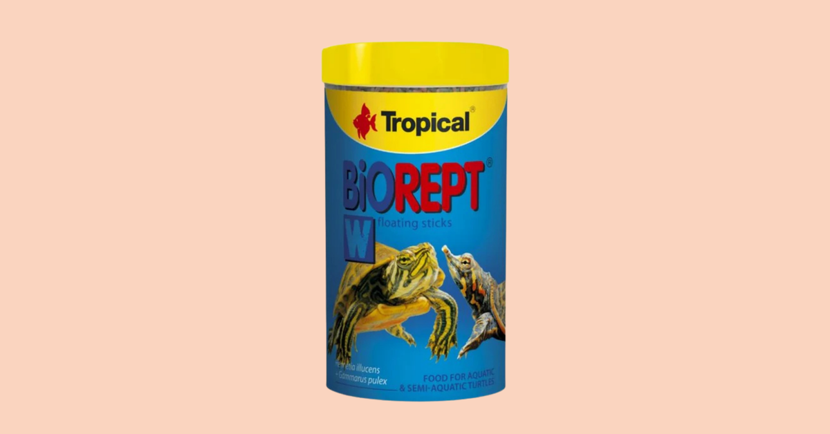 Maistas ropliams