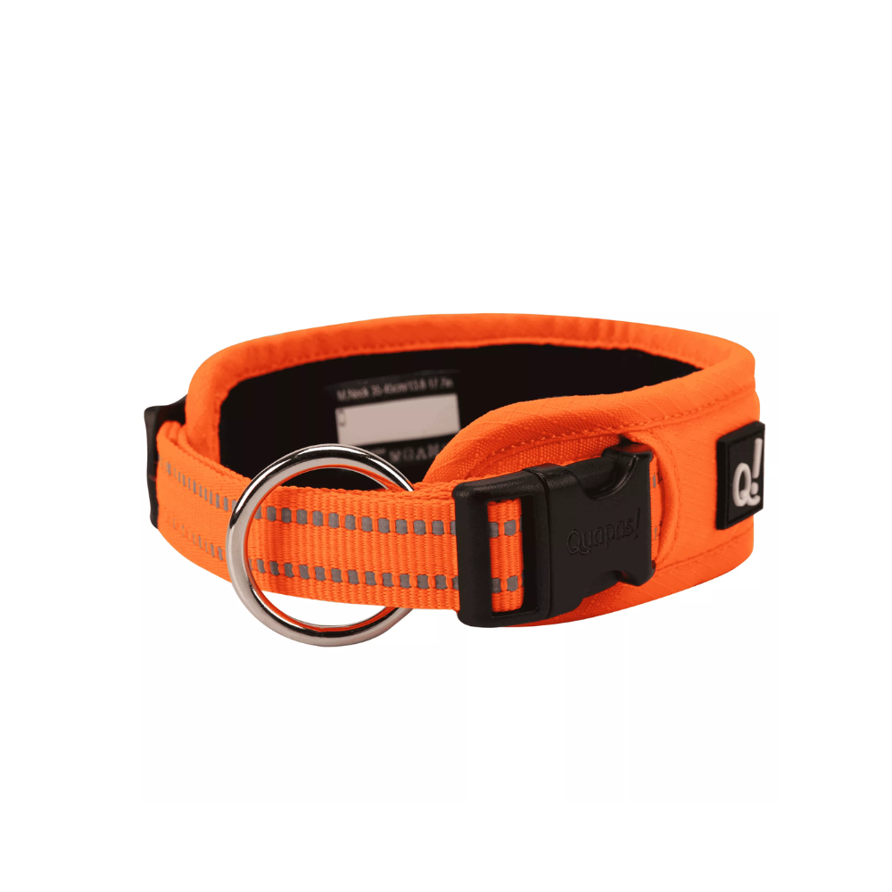 Quapas! Antkaklis Ultra comfort, M, 20 mm x 35-45 cm, oranžinis