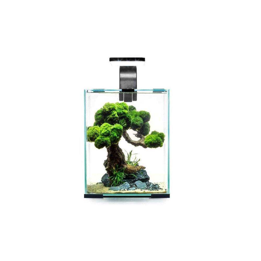 Aquael Shrimp Set Smart Day&Night 10 Black akvariumas su įranga krevetėms 10 l
