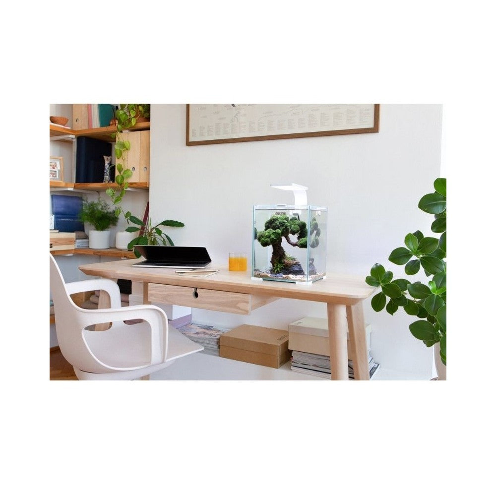 Aquael Shrimp Set Smart Day&Night 20 Black akvariumas su įranga krevetėms 20 l