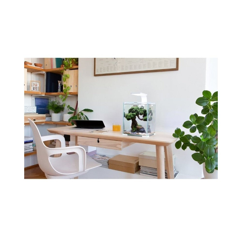 Aquael Shrimp Set Smart Day&Night 20 White akvariumas su įranga krevetėms 20 l