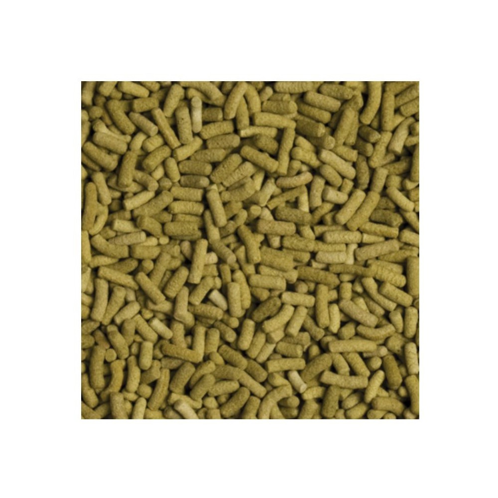Tropical Biorept L pašaras sausumos vėžliams 5 l (1,4 kg)
