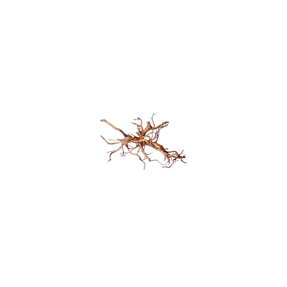 Dekoracija akvariumui šaka 40-60 cm, 10 kg
