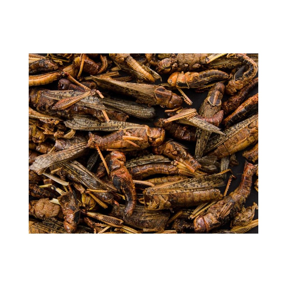 Džiovinti žiogai, 80 g