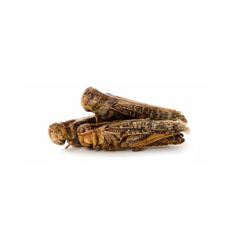 Džiovinti žiogai, 80 g