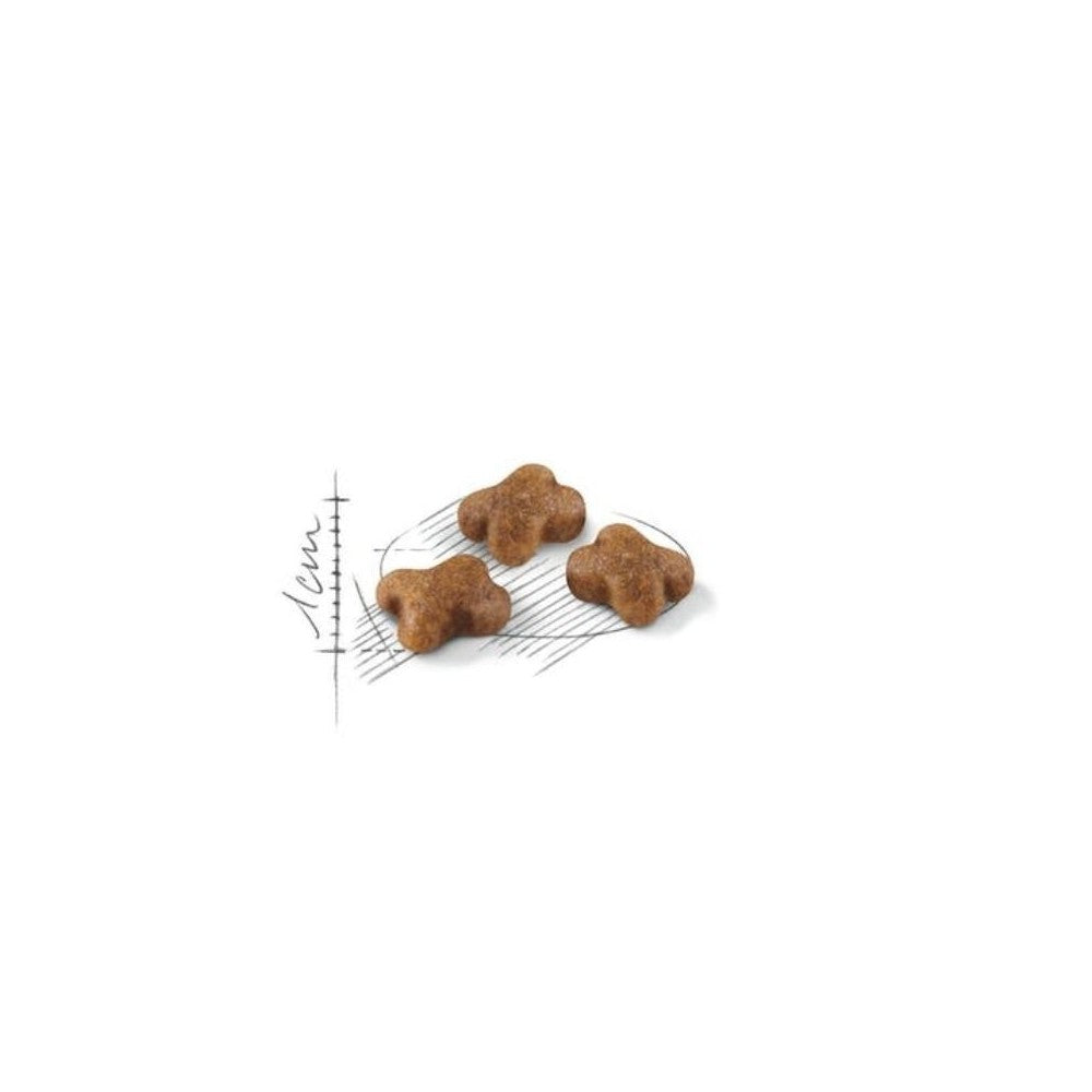 Royal Canin FHN Second Age Kitten maistas kačiukams 0,4 kg