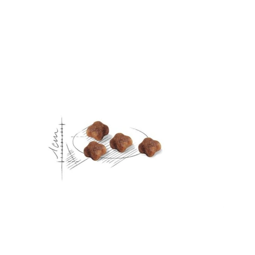 Royal Canin FHN First Age Mother and Babycat maistas maitinančioms katėms ir kačiukams 0,4 kg