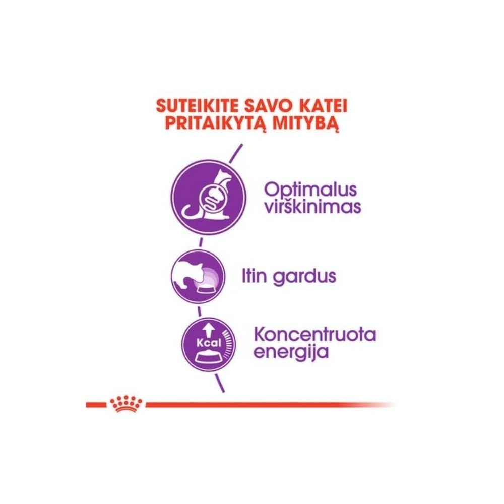 Royal Canin FHN Regular Sensible 33 maistas jautrią virškinimo sistemą turinčioms katėms 2 kg
