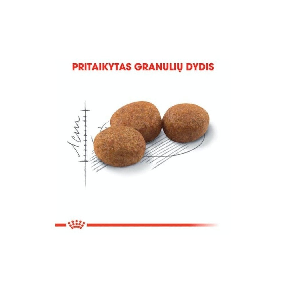 Royal Canin FHN Regular Sterilised 37 maistas sterilizuotoms suaugusioms katėms 2 kg