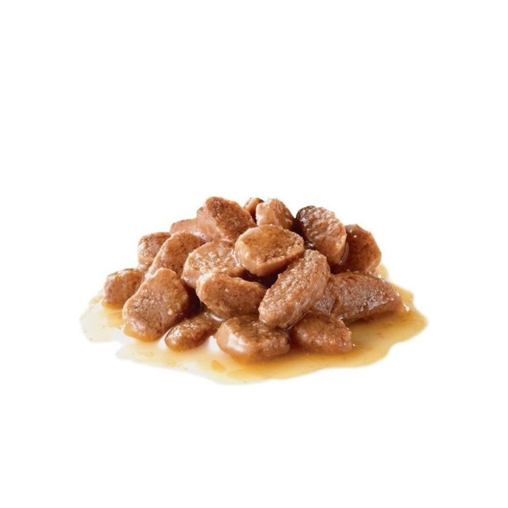 Royal Canin FHN Sterilised in Gravy konservuotas pašaras sterilizuotoms katėms 85 g