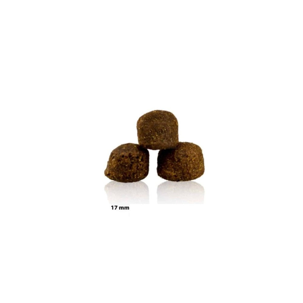 Happy Dog visavertis pašaras suaugusiems didelių veislių šunims Maxi Adult 14 kg