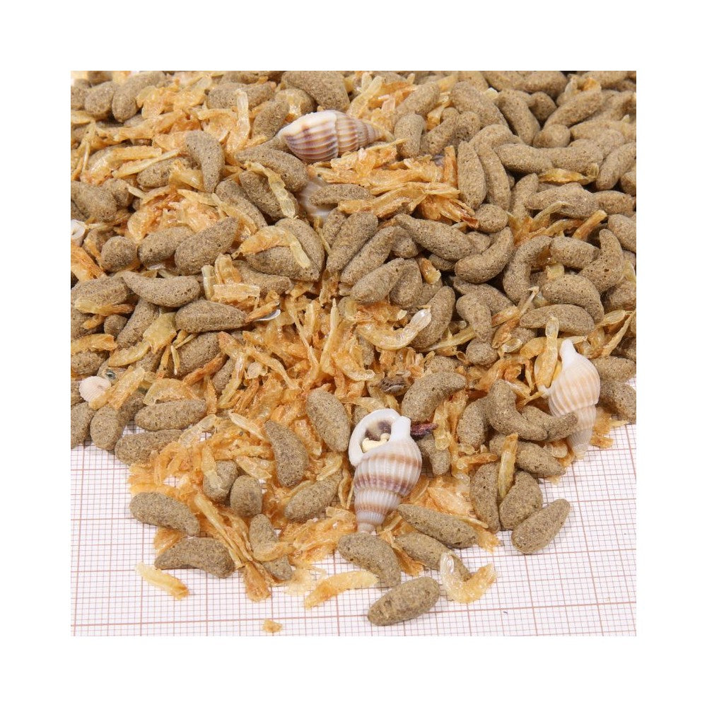 JBL ProTerra pašaras vėžliams Molluscus, 250 ml