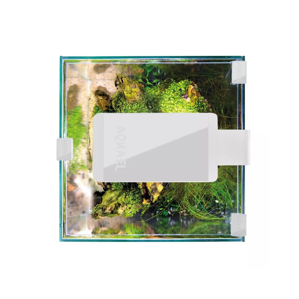 Leddy Smart 4,8 W Sunny šviestuvas (baltas)