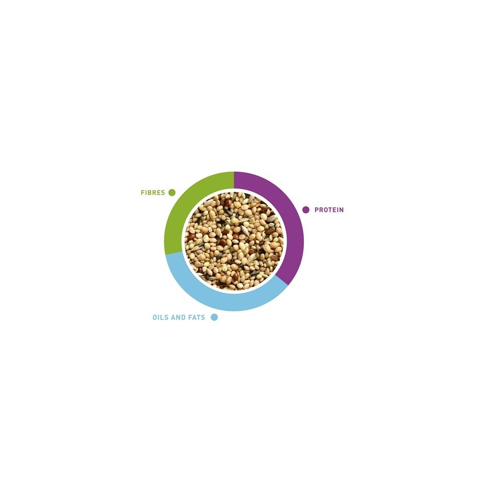 Maistas egzotiniams paukščiams (amadinams, kikiliams) NaturalMix, 1kg