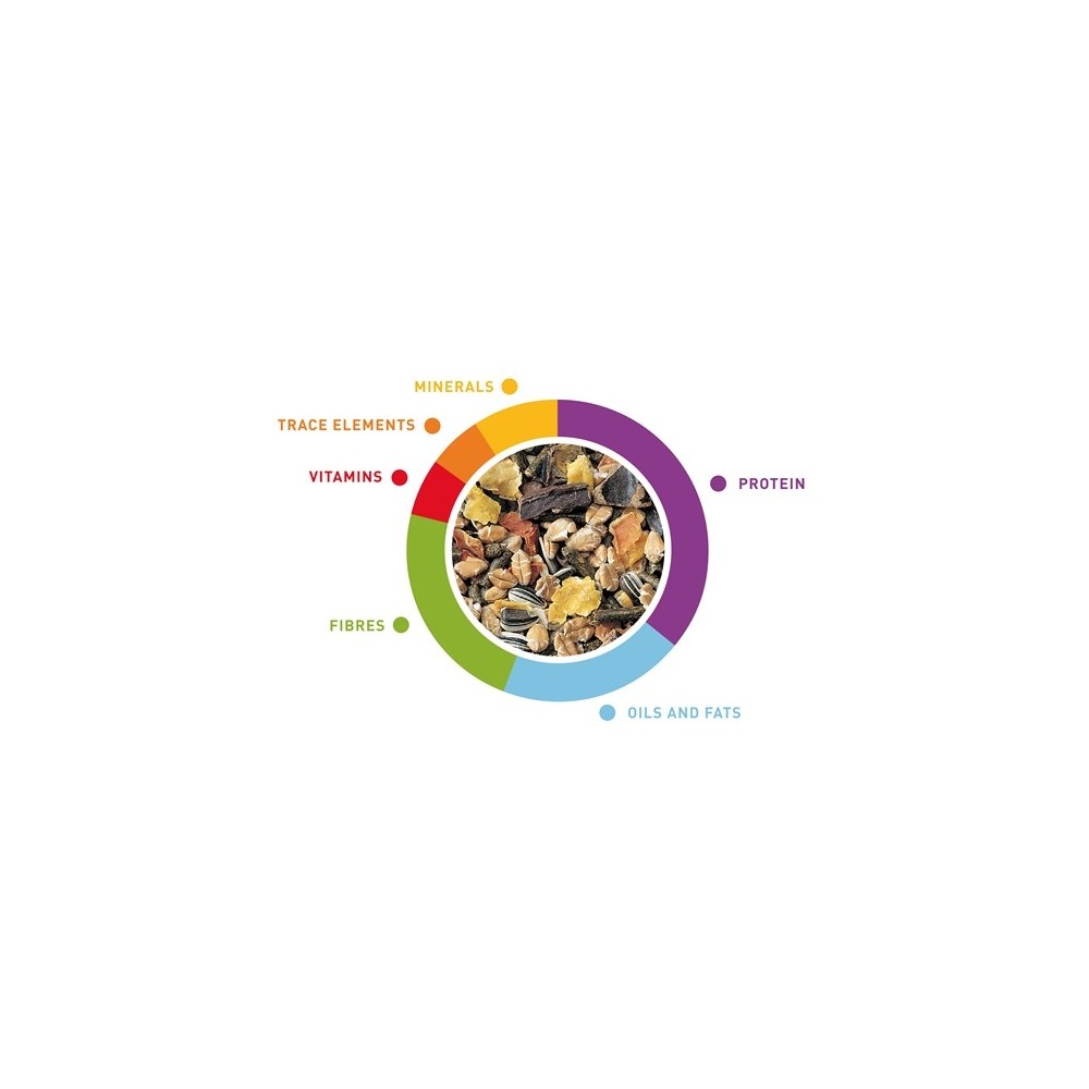 Maistas suaugusiems dekoratyviniams triušiams Grandmix 850 g