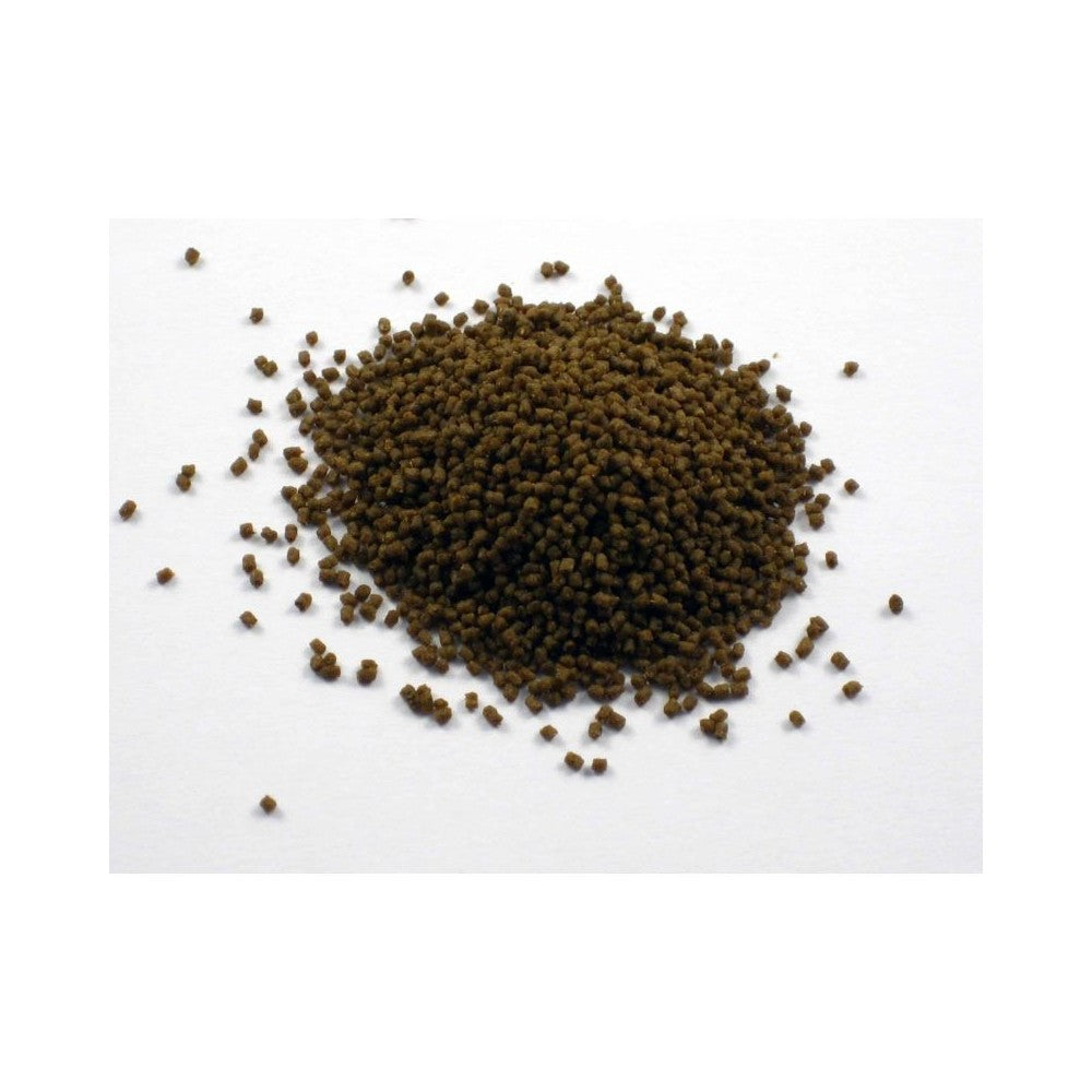 Pašaras žuvims Dr. Bassleer Biofish Food GSE/Moringa L, 60 g
