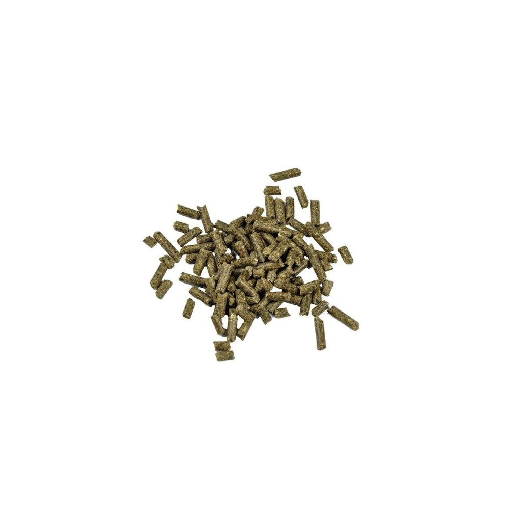 Pašaras krevetėms Dr. Bassleer Biofish Food Shrimp Sticks, 60 g