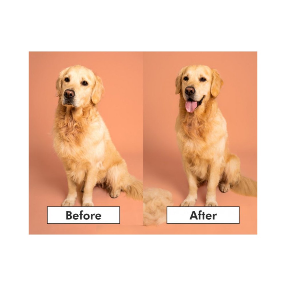 Pet Teezer plaukų šepetys gyvūnams De-Shedding&Dog Grooming Brush Small, žydras