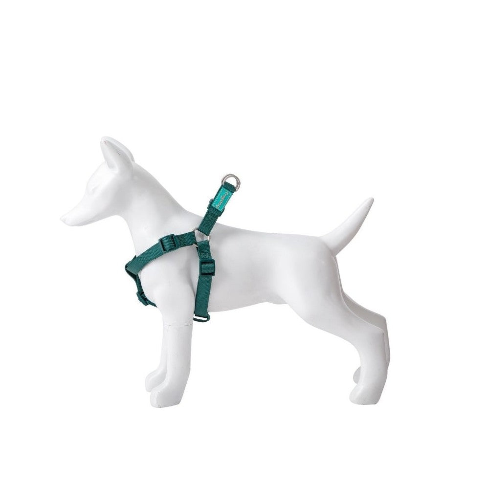 Petnešos Basic Nylon A-Type, žalios, 10 mm x 20-36 cm