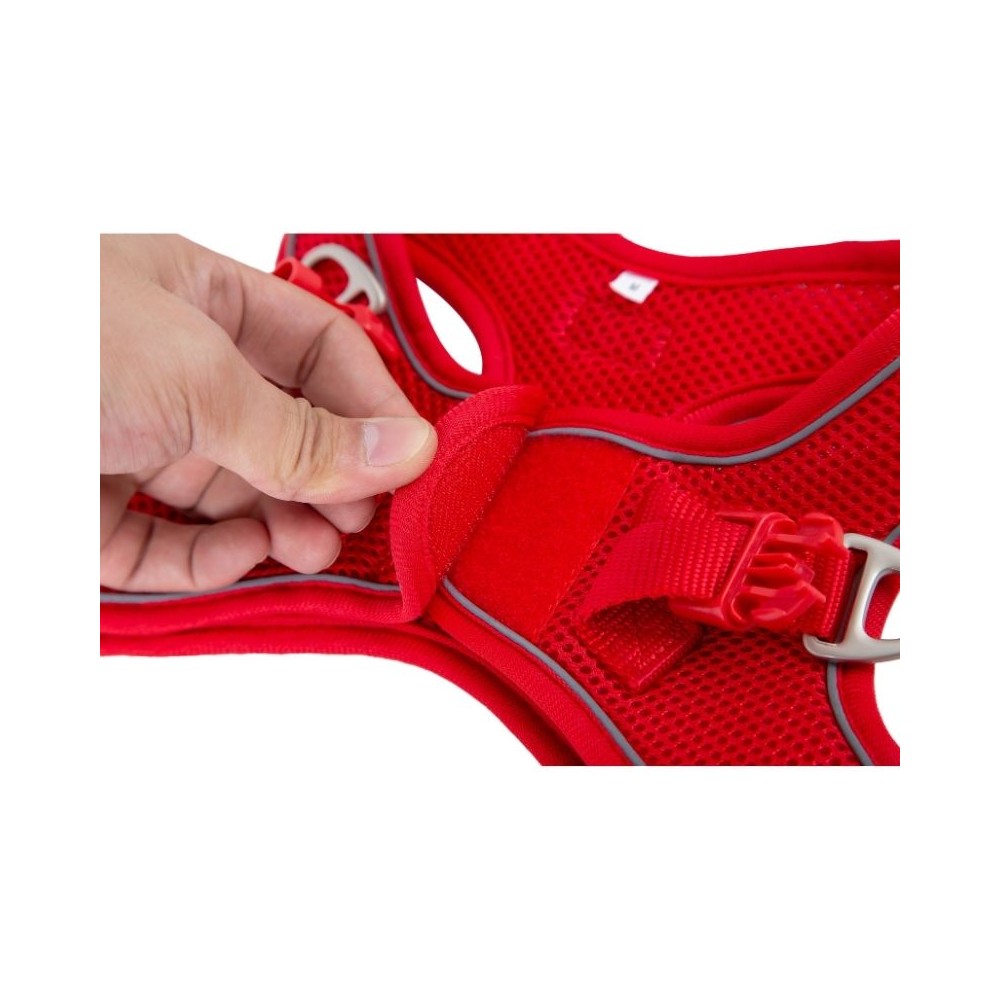 Petnešos Soft, turkio spalvos, M, 40-45 cm