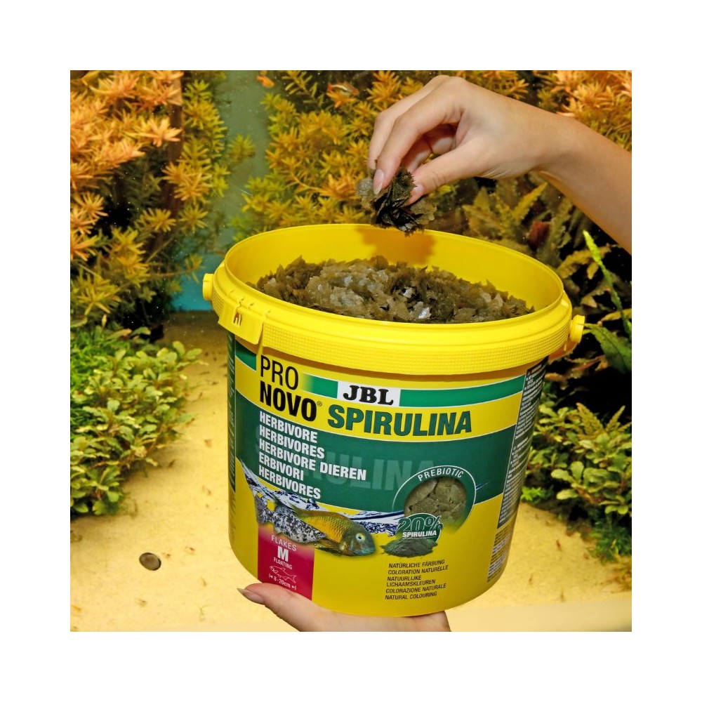 JBL ProNovo Spirulina Flakes M pašaras žuvims 5,5 l