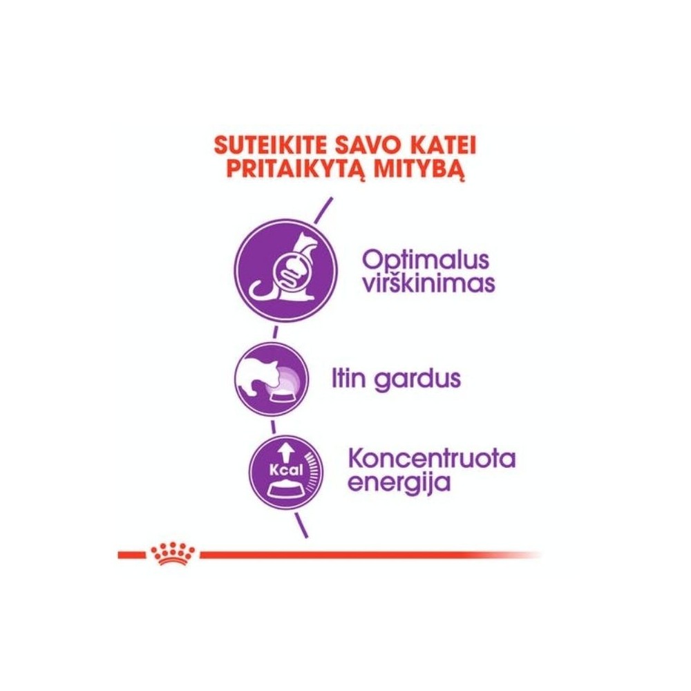 Royal Canin FHN Regular Sensible 33 maistas jautrią virškinimo sistemą turinčioms katėms 0,4 kg