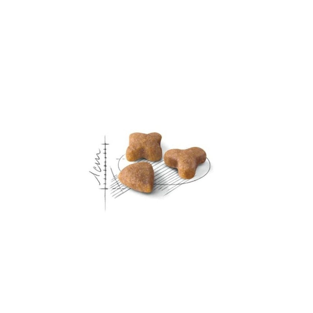 Royal Canin FHN Regular Sensible 33 maistas jautrią virškinimo sistemą turinčioms katėms 0,4 kg