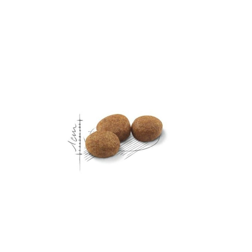 Royal Canin FHN Regular Sterilised 37 maistas sterilizuotoms suaugusioms katėms 0,4 kg
