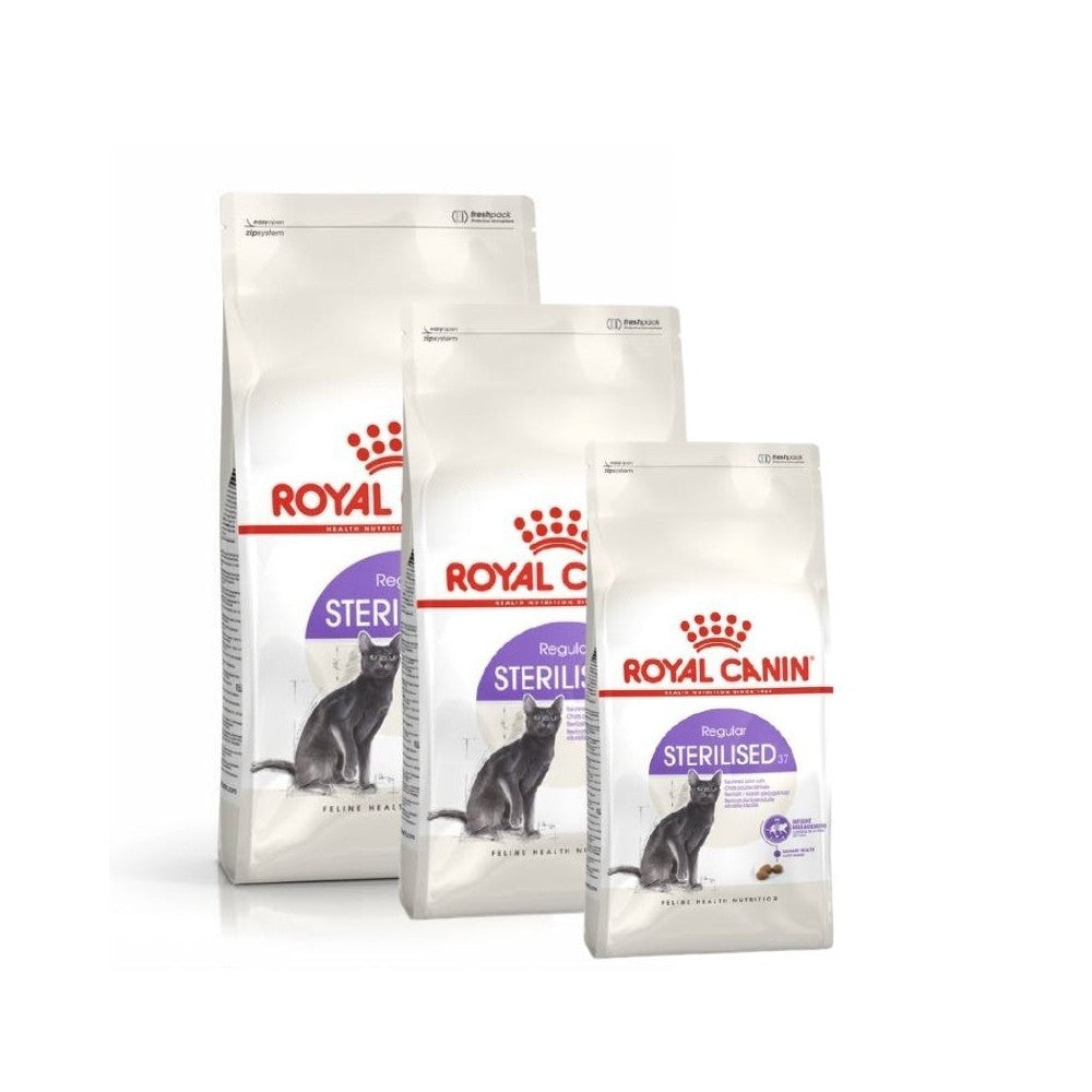 Royal Canin FHN Regular Sterilised 37 maistas sterilizuotoms suaugusioms katėms 0,4 kg