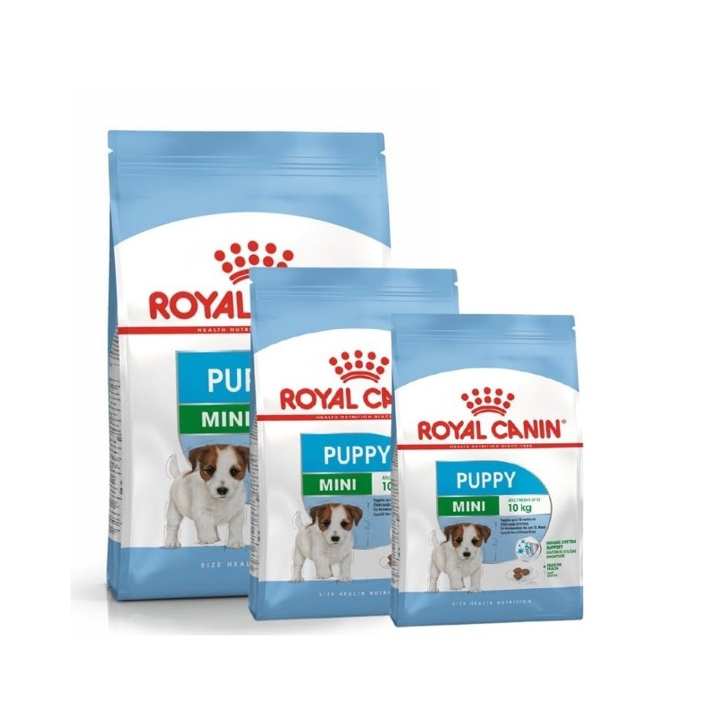 Royal Canin SHN MINI Puppy maistas jauniems šuniukams 0,8 kg