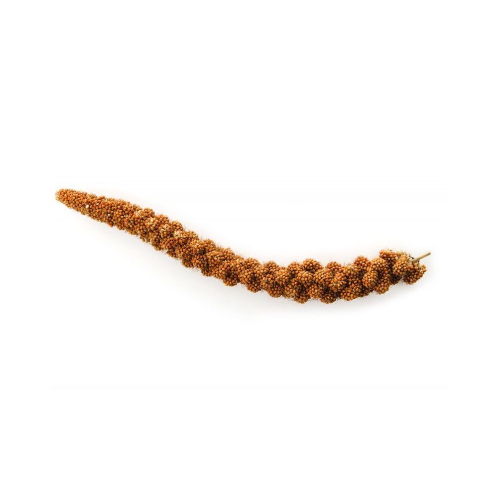 Soros, 200 g