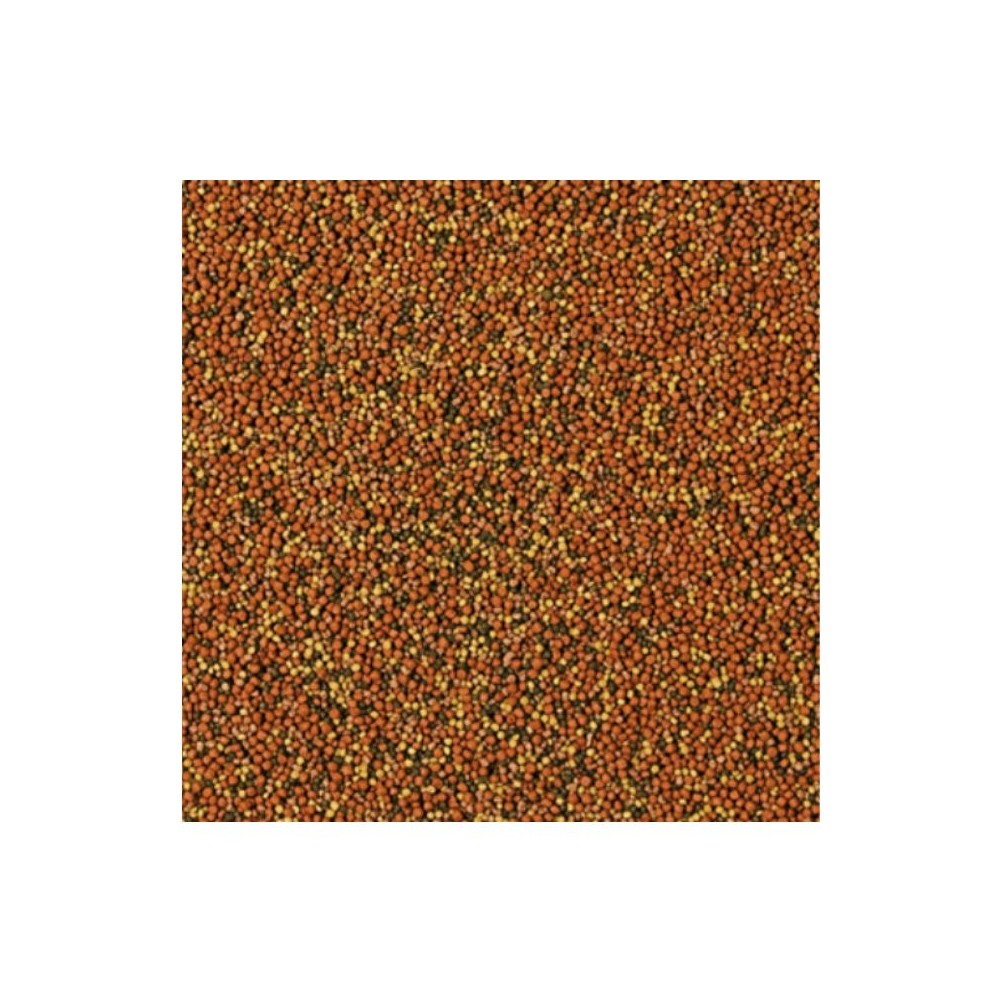 Tropical Supervit Granulat granuliuotas pašaras žuvims su Beta-gliukanu 10 l (5,5 kg)